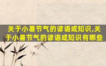 关于小暑节气的谚语或知识,关于小暑节气的谚语或知识有哪些