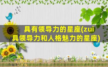 具有领导力的星座(zui
具领导力和人格魅力的星座)