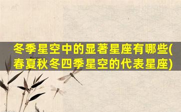 冬季星空中的显著星座有哪些(春夏秋冬四季星空的代表星座)