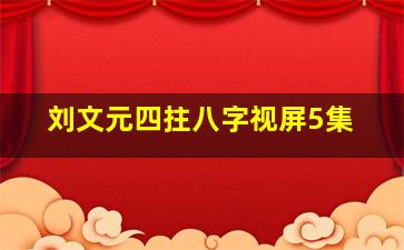 刘文元四拄八字视屏5集