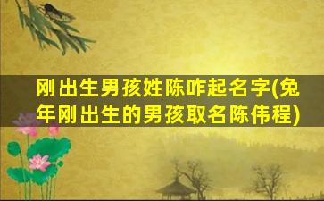 刚出生男孩姓陈咋起名字(兔年刚出生的男孩取名陈伟程)