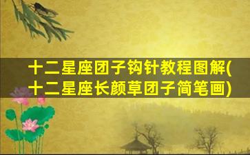 十二星座团子钩针教程图解(十二星座长颜草团子简笔画)