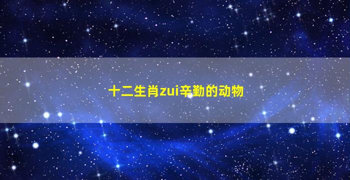 十二生肖zui
辛勤的动物