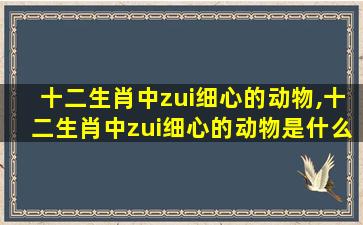 十二生肖中zui
细心的动物,十二生肖中zui
细心的动物是什么生肖