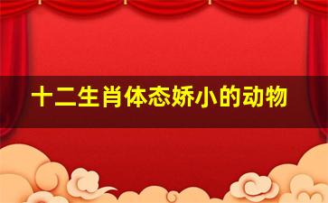 十二生肖体态娇小的动物