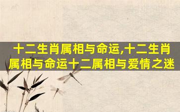十二生肖属相与命运,十二生肖属相与命运十二属相与爱情之迷