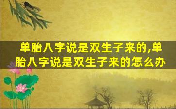 单胎八字说是双生子来的,单胎八字说是双生子来的怎么办