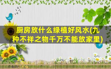 厨房放什么绿植好风水(九种不祥之物千万不能放家里)