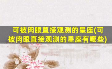 可被肉眼直接观测的星座(可被肉眼直接观测的星座有哪些)