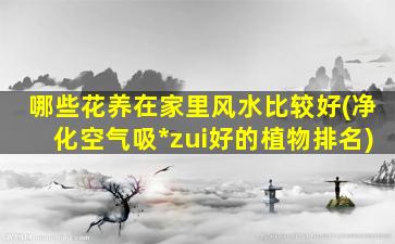 哪些花养在家里风水比较好(净化空气吸*
zui
好的植物排名)