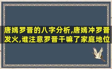 唐嫣罗晋的八字分析,唐嫣冲罗晋发火,谁注意罗晋干嘛了家庭地位一目了然