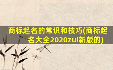 商标起名的常识和技巧(商标起名大全2020zui
新版的)