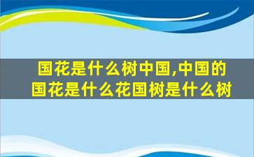 国花是什么树中国,中国的国花是什么花国树是什么树