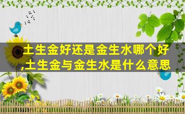 土生金好还是金生水哪个好,土生金与金生水是什么意思
