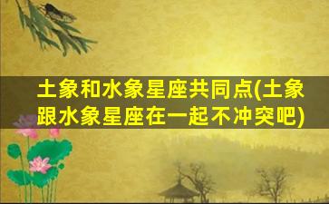 土象和水象星座共同点(土象跟水象星座在一起不冲突吧)