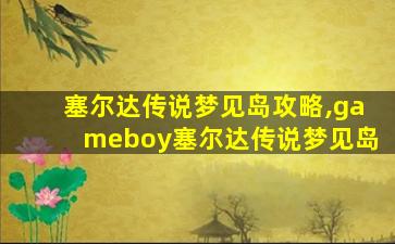 塞尔达传说梦见岛攻略,gameboy塞尔达传说梦见岛