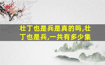 壮丁也是兵是真的吗,壮丁也是兵,一共有多少集