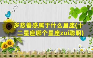 多愁善感属于什么星座(十二星座哪个星座zui
聪明)