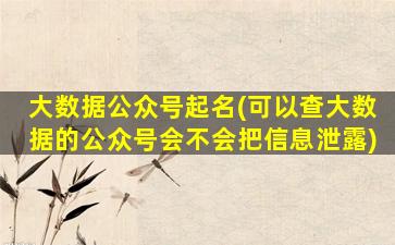 大数据公众号起名(可以查大数据的公众号会不会把信息泄露)