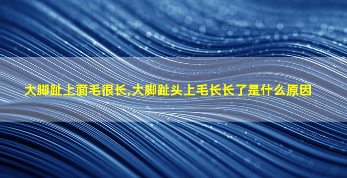 大脚趾上面毛很长,大脚趾头上毛长长了是什么原因
