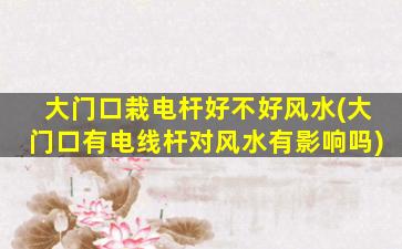 大门口栽电杆好不好风水(大门口有电线杆对风水有影响吗)