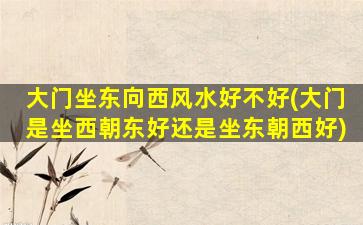 大门坐东向西风水好不好(大门是坐西朝东好还是坐东朝西好)