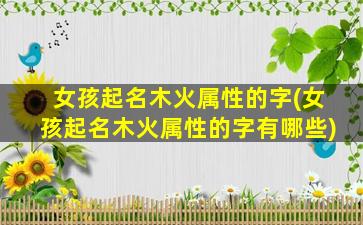 女孩起名木火属性的字(女孩起名木火属性的字有哪些)