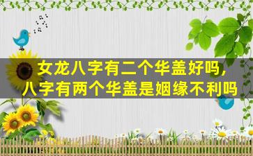 女龙八字有二个华盖好吗,八字有两个华盖是姻缘不利吗