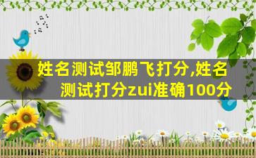 姓名测试邹鹏飞打分,姓名测试打分zui
准确100分