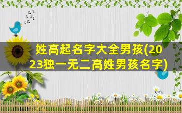 姓高起名字大全男孩(2023独一无二高姓男孩名字)