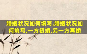 婚姻状况如何填写,婚姻状况如何填写,一方初婚,另一方再婚