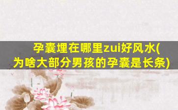 孕囊埋在哪里zui
好风水(为啥大部分男孩的孕囊是长条)
