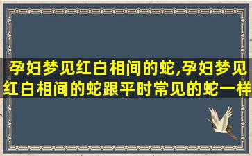 孕妇梦见红白相间的蛇,孕妇梦见红白相间的蛇跟平时常见的蛇一样