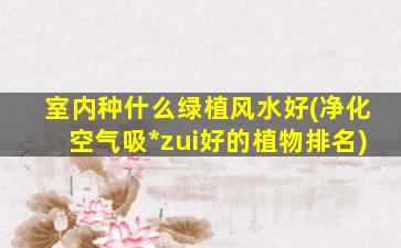 室内种什么绿植风水好(净化空气吸*
zui
好的植物排名)