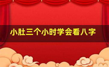 小肚三个小时学会看八字