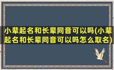 小辈起名和长辈同音可以吗(小辈起名和长辈同音可以吗怎么取名)