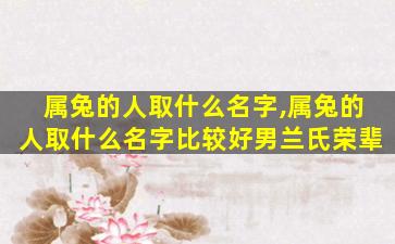 属兔的人取什么名字,属兔的人取什么名字比较好男兰氏荣辈