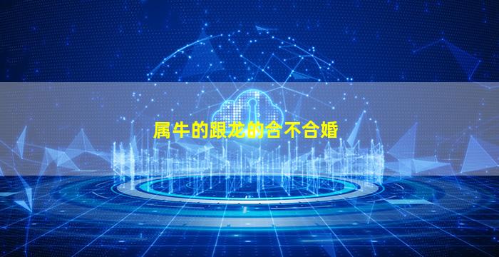 属牛的跟龙的合不合婚