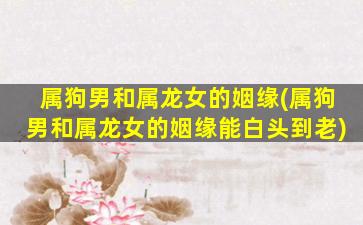 属狗男和属龙女的姻缘(属狗男和属龙女的姻缘能白头到老)