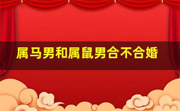 属马男和属鼠男合不合婚