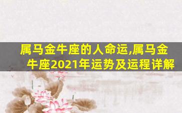 属马金牛座的人命运,属马金牛座2021年运势及运程详解