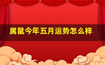 属鼠今年五月运势怎么样