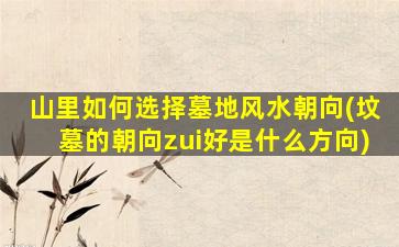 山里如何选择墓地风水朝向(坟墓的朝向zui
好是什么方向)