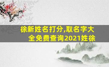 徐新姓名打分,取名字大全免费查询2021姓徐