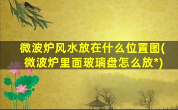 微波炉风水放在什么位置图(微波炉里面玻璃盘怎么放*
)