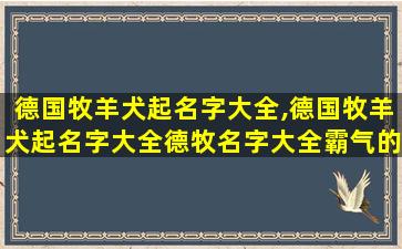 德国牧羊犬起名字大全,德国牧羊犬起名字大全德牧名字大全霸气的