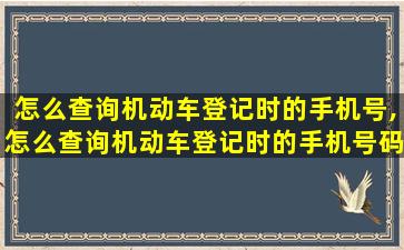 怎么查询机动车登记时的手机号,怎么查询机动车登记时的手机号码是多少