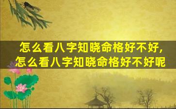 怎么看八字知晓命格好不好,怎么看八字知晓命格好不好呢