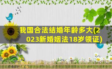 我国合法结婚年龄多大(2023新婚姻法18岁领证)