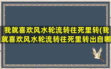 我就喜欢风水轮流转往死里转(我就喜欢风水轮流转往死里转出自哪里)